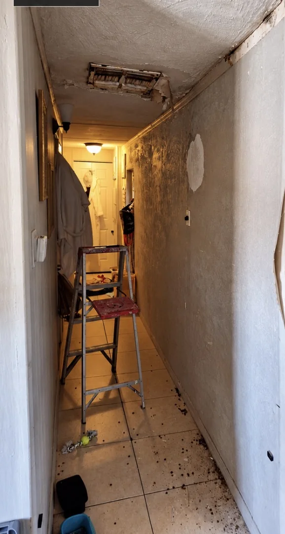 Before view — Hallway Renovation