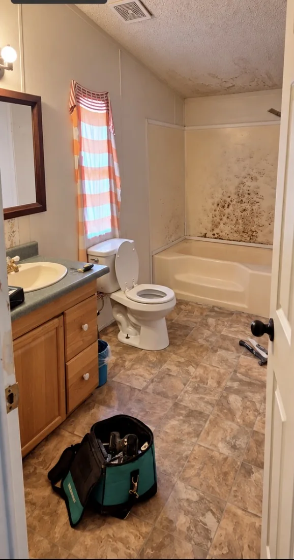 Before view — Bathroom Renovation